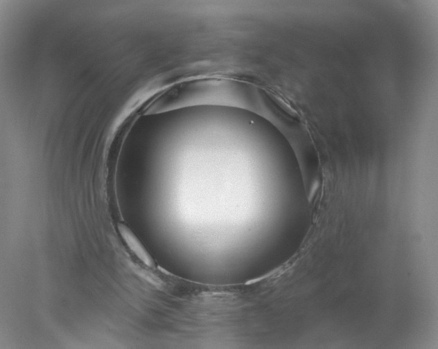 X0000078270150200611172039