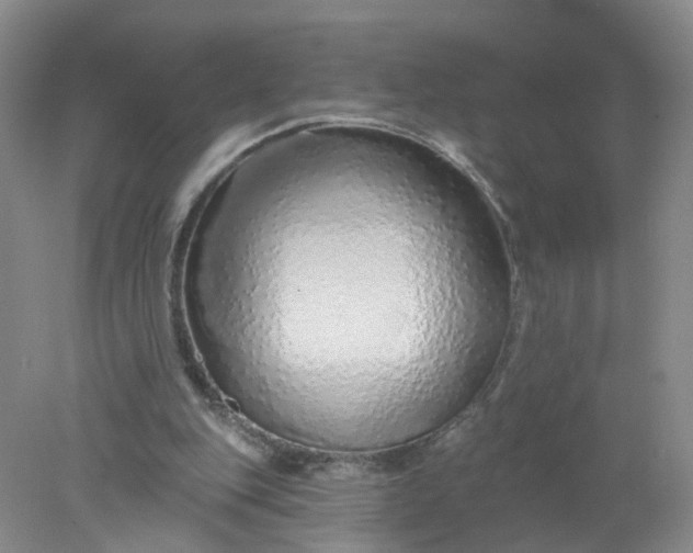 X0000078270151200611172039