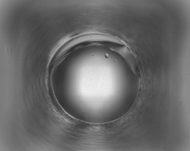 X0000078270152200611172039