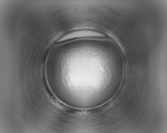 X0000078270153200611172039