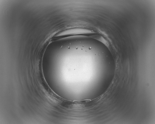 X0000078270154200611172039