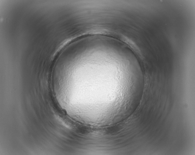 X0000078270155200611172039