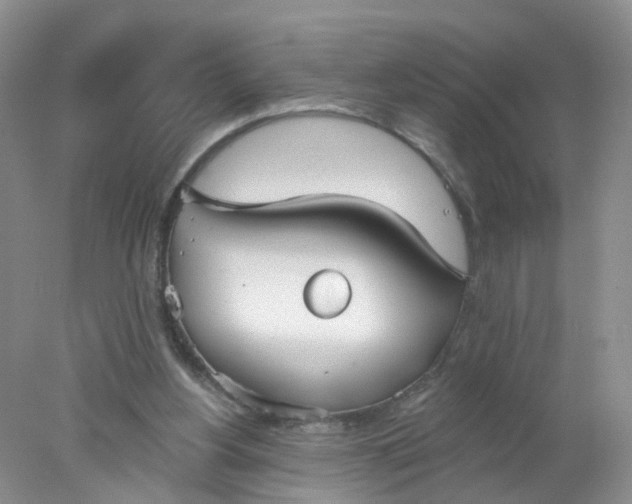 X0000078270156200611172039