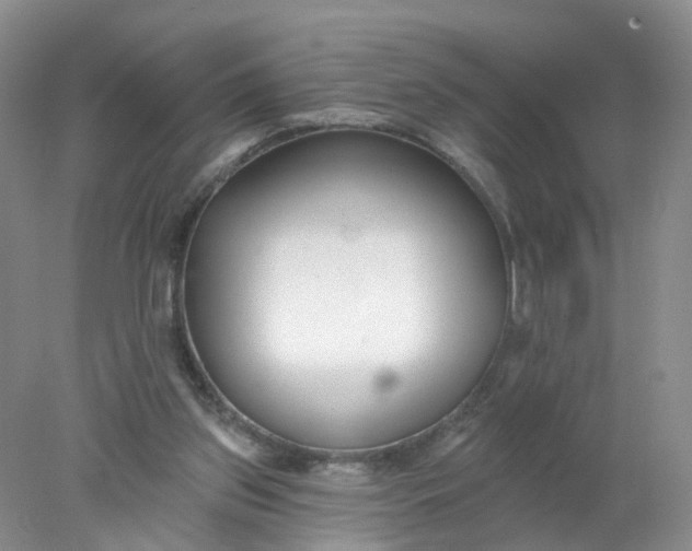 X0000078270157200611172039