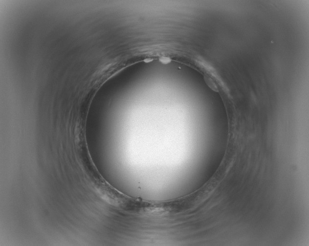 X0000078270161200611172040