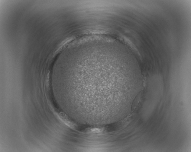 X0000078270163200611172040