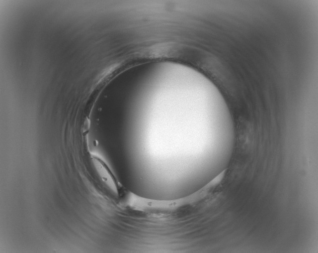 X0000078270164200611172040