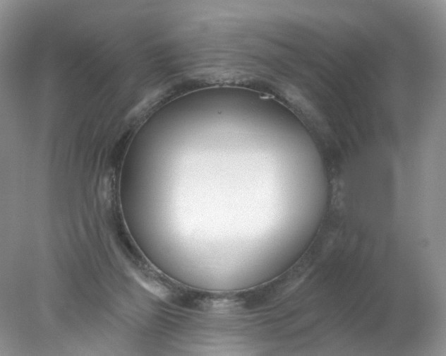 X0000078270165200611172040