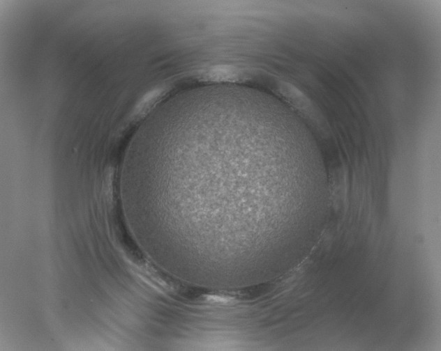 X0000078270167200611172040