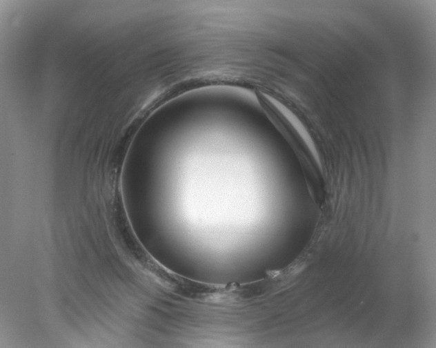 X0000078270168200611172040