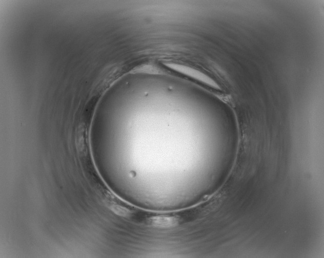 X0000078270169200611172040