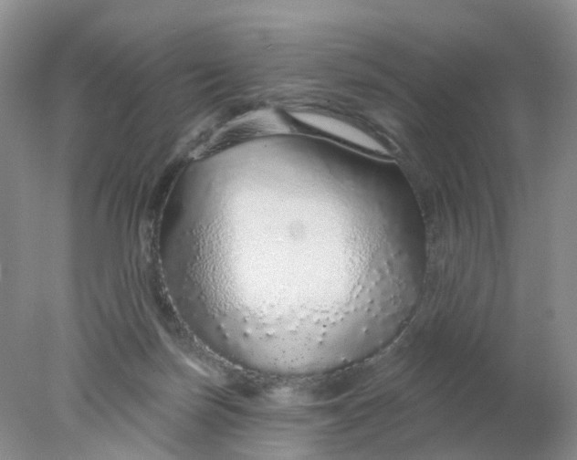 X0000078270171200611172040