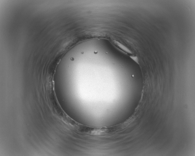 X0000078270172200611172040