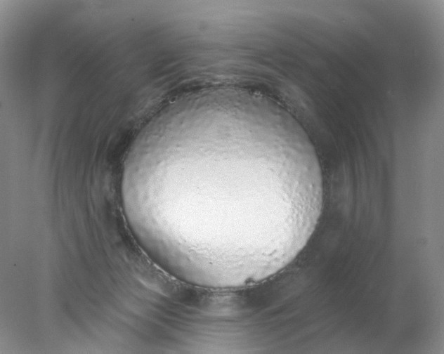 X0000078270173200611172040