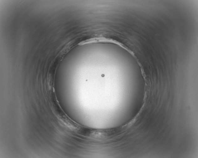 X0000078270174200611172040