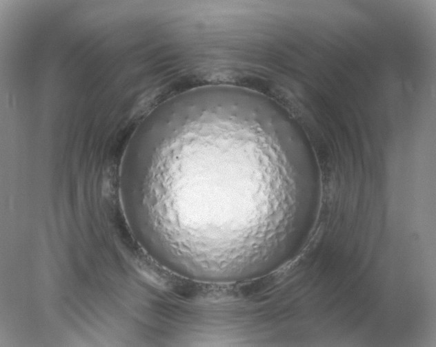 X0000078270175200611172040