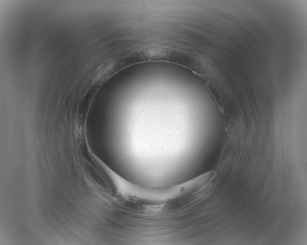 X0000078270176200611172040