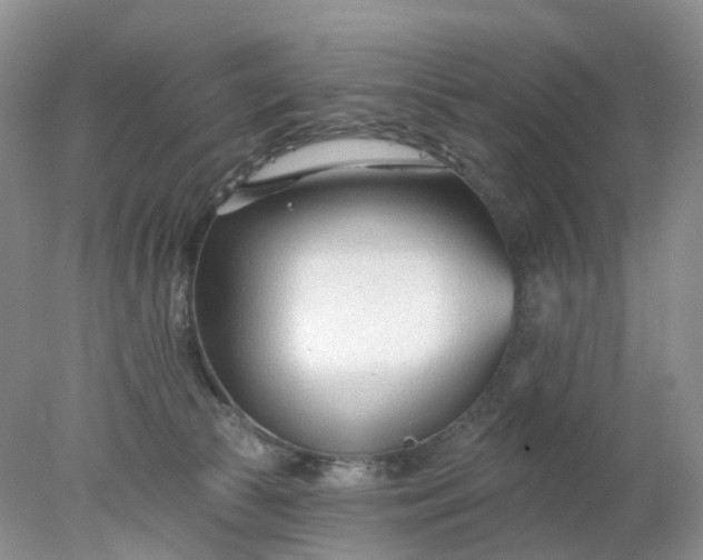 X0000078270177200611172040