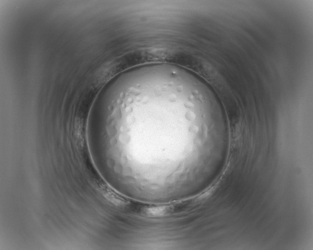 X0000078270178200611172040