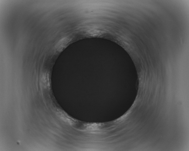 X0000078270182200611172040