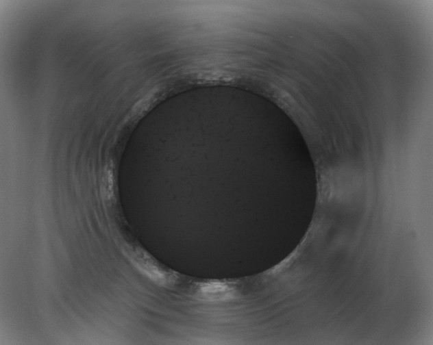 X0000078270183200611172040