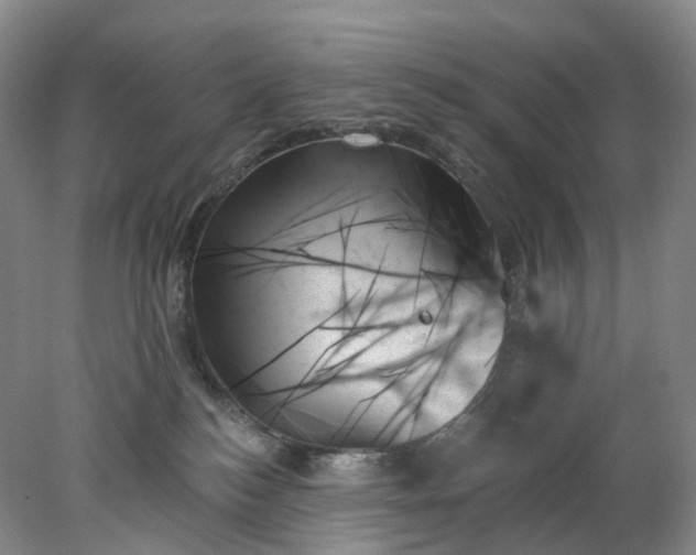 X0000078270184200611172040