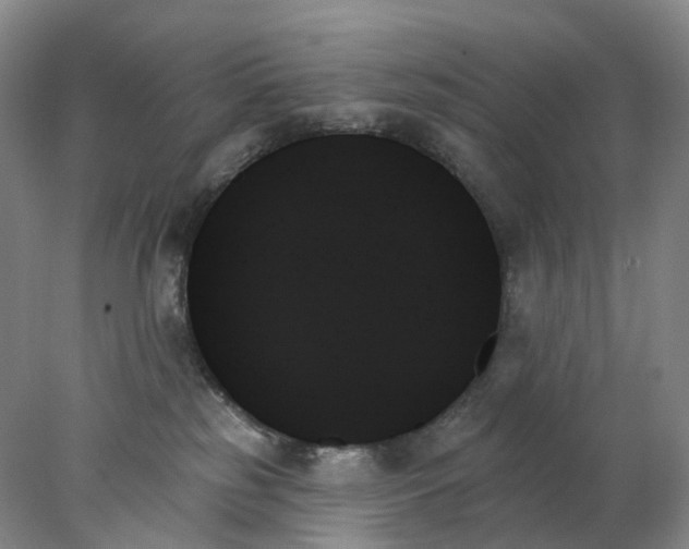 X0000078270185200611172040