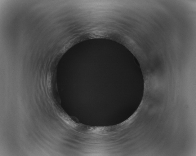 X0000078270186200611172040