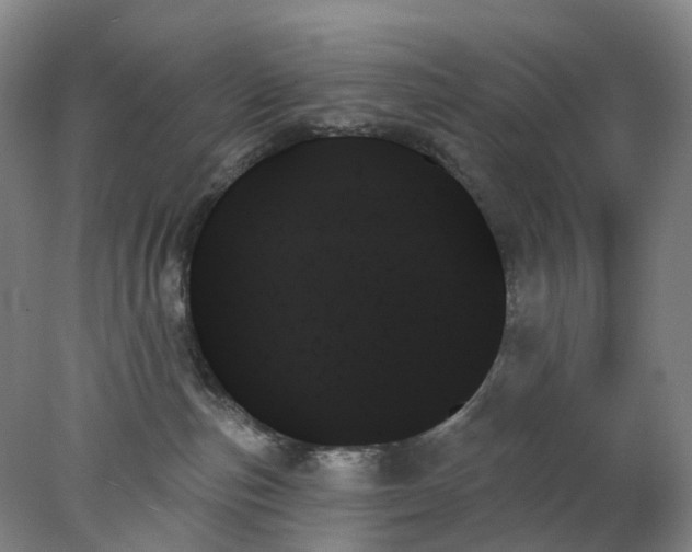 X0000078270187200611172040