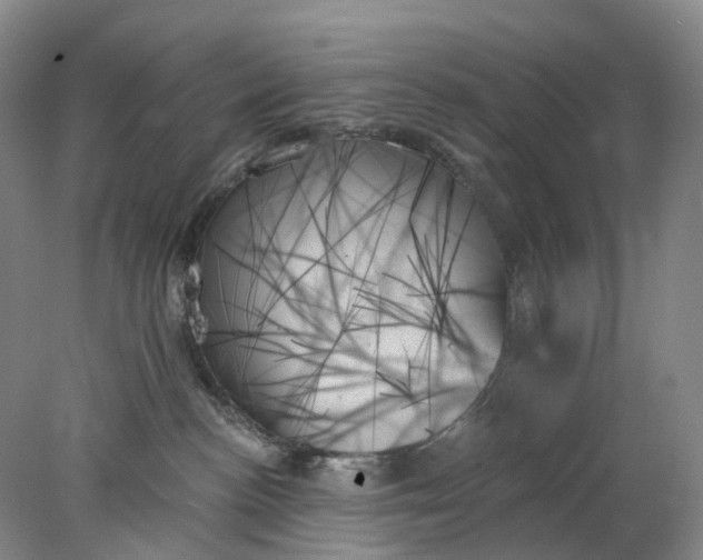 X0000078270188200611172040