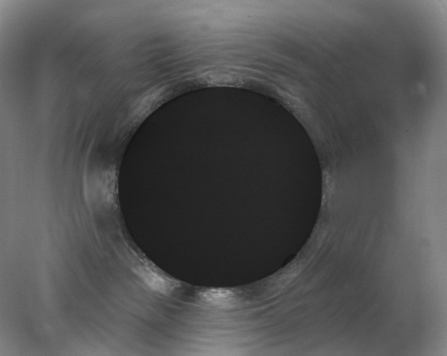 X0000078270189200611172040