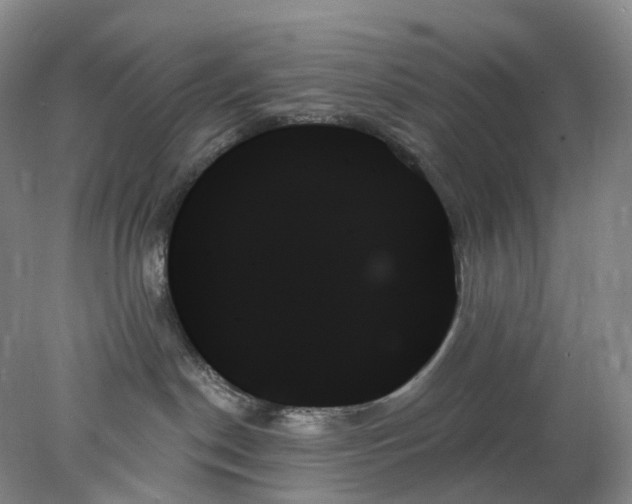 X0000078270190200611172040