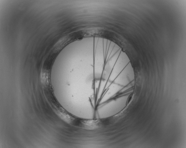 X0000078270191200611172040