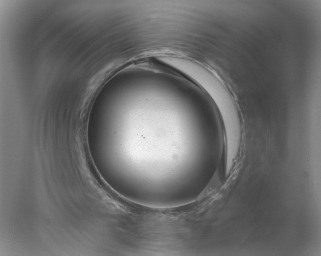 X0000078270193200611172039