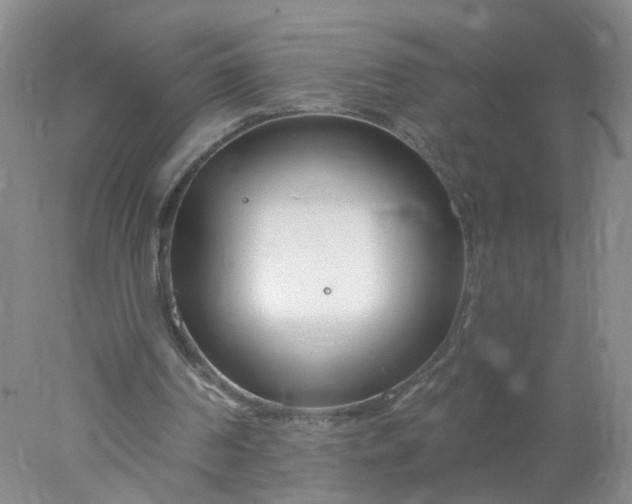 X0000078270194200611172039