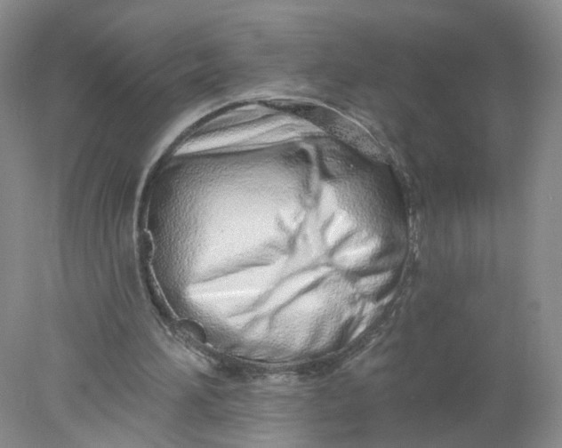 X0000078270196200611172039