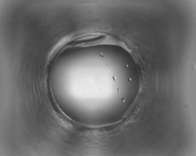 X0000078270197200611172039