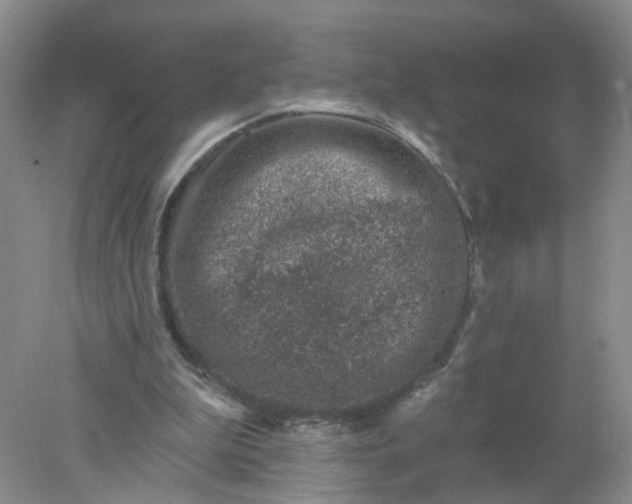 X0000078270199200611172039