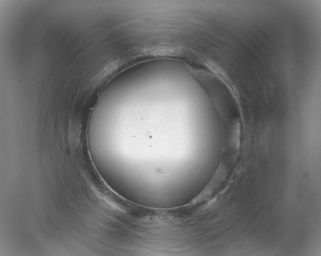 X0000078270201200611172039