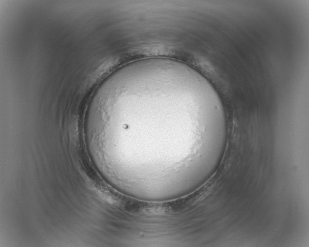 X0000078270202200611172039