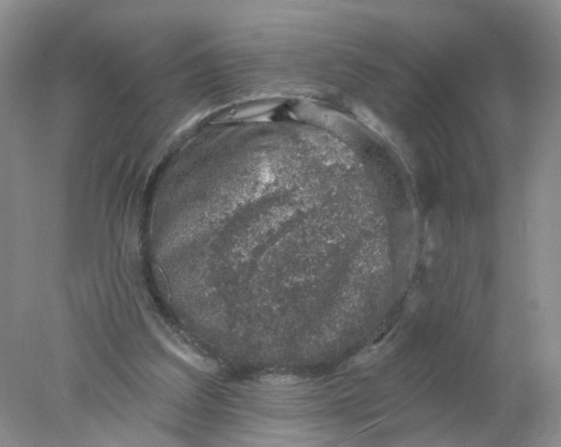 X0000078270203200611172039