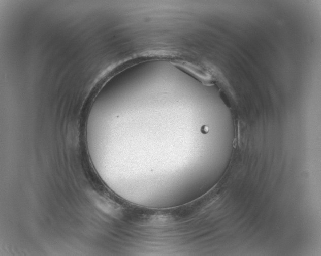 X0000078270204200611172039