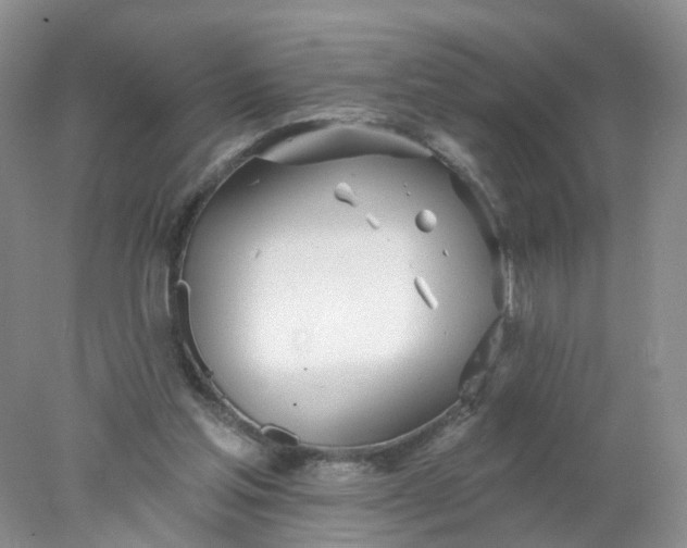 X0000078270205200611172039