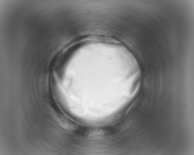 X0000078270206200611172039