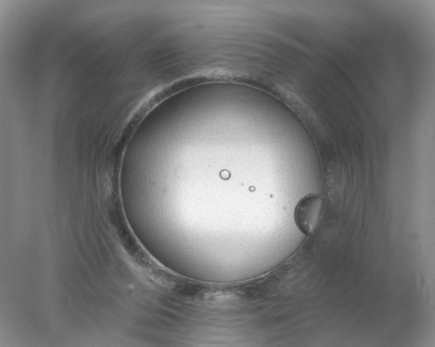 X0000078270208200611172039