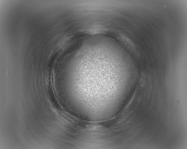 X0000078270210200611172039