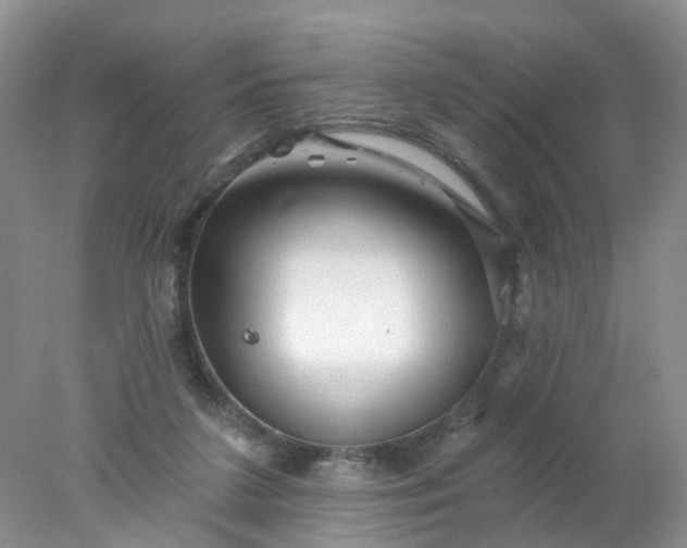 X0000078270211200611172039