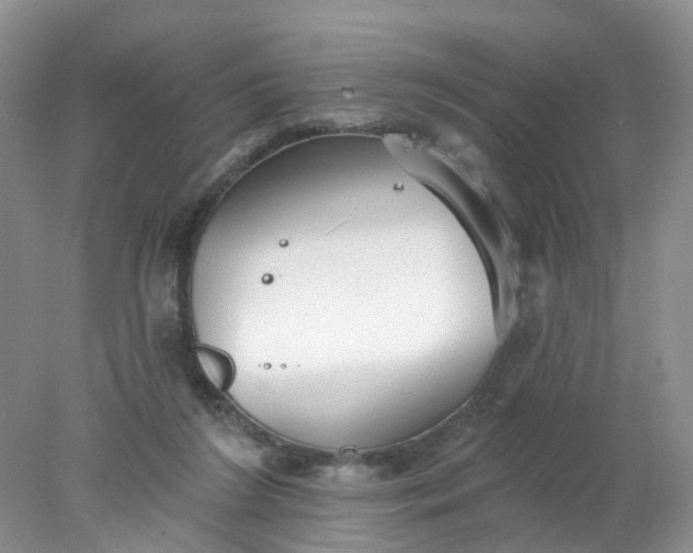 X0000078270212200611172039