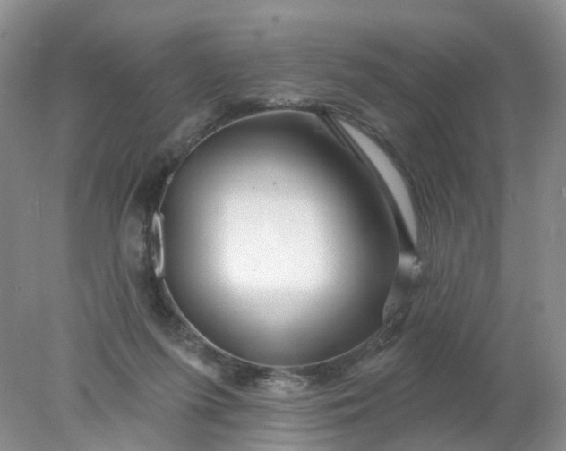 X0000078270215200611172039