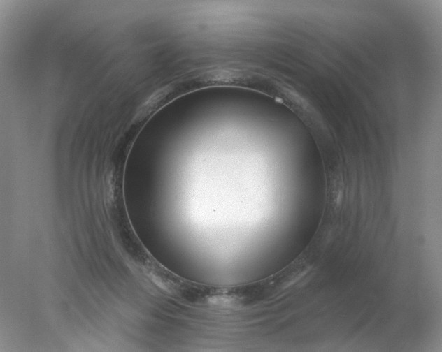 X0000078270216200611172039